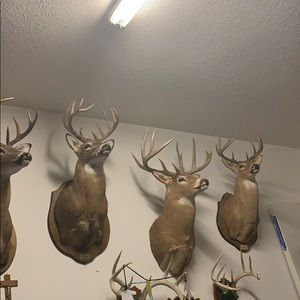 Meet your Posher, Joseph